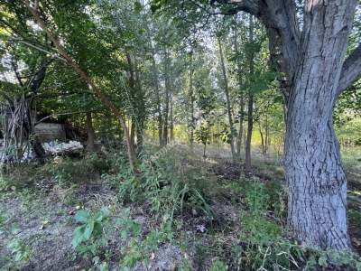 Niksar Erzincan Yolu D-100 E Sıfır Tarla 8