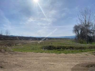 Niksar Çevreyolu Anayola Sıfır Satılık Tarla 6