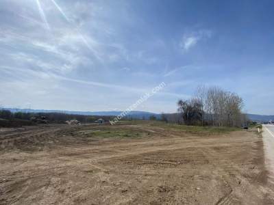 Niksar Çevreyolu Anayola Sıfır Satılık Tarla 5