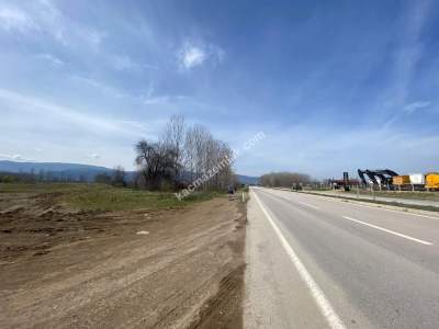 Niksar Çevreyolu Anayola Sıfır Satılık Tarla 8