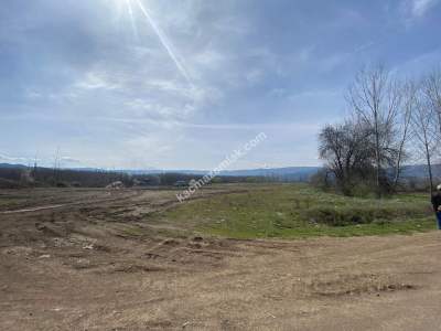 Niksar Çevreyolu Anayola Sıfır Satılık Tarla 7