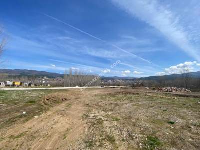 Niksar Çevreyolu Anayola Sıfır Satılık Tarla 2