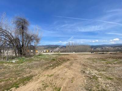 Niksar Çevreyolu Anayola Sıfır Satılık Tarla 4