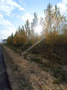 Niksar Şehir Merkezinin Girişinde Anayola Cephe Tarla 1