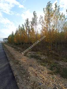 Niksar Şehir Merkezinin Girişinde Anayola Cephe Tarla 3