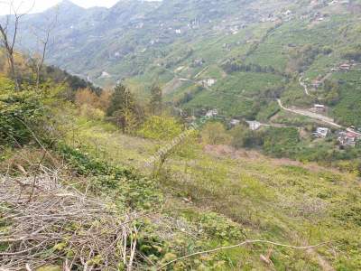 Trabzon Akçaabat Akçakale'de Satılık 17 Dönüm Arazi 10