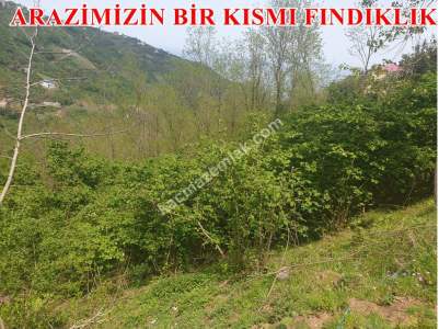 Trabzon Akçaabat Akçakale'de Satılık 17 Dönüm Arazi 6
