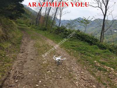 Trabzon Akçaabat Akçakale'de Satılık 17 Dönüm Arazi 2