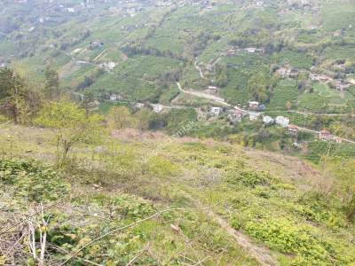 Trabzon Akçaabat Akçakale'de Satılık 17 Dönüm Arazi 3