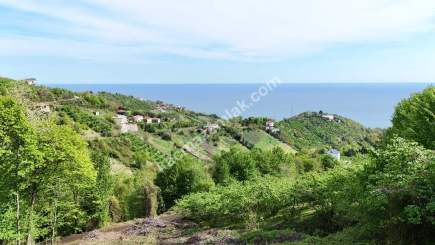 Trabzon Akçaabat Darıcada Satılık Arazi 11