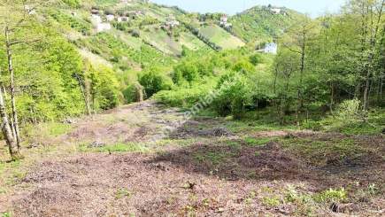 Trabzon Akçaabat Darıcada Satılık Arazi 14