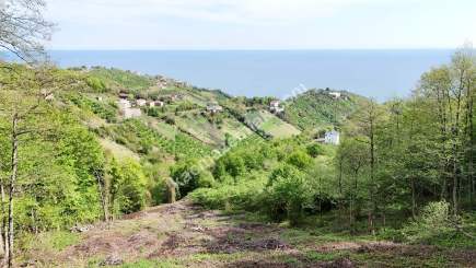 Trabzon Akçaabat Darıcada Satılık Arazi 15