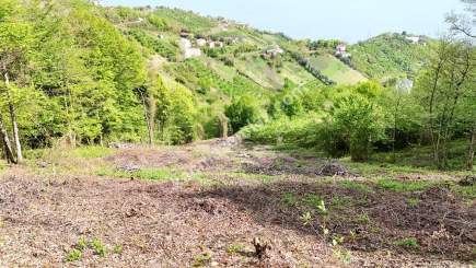 Trabzon Akçaabat Darıcada Satılık Arazi 13