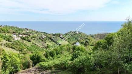 Trabzon Akçaabat Darıcada Satılık Arazi 1