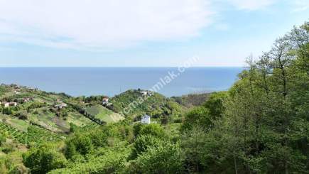 Trabzon Akçaabat Darıcada Satılık Arazi 12