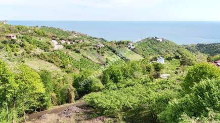 Trabzon Akçaabat Darıcada Satılık Arazi 17