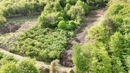 Trabzon Akçaabat Darıcada Satılık Arazi 8