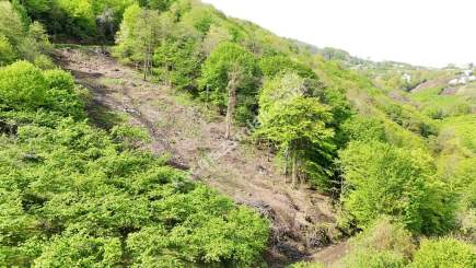 Trabzon Akçaabat Darıcada Satılık Arazi 4