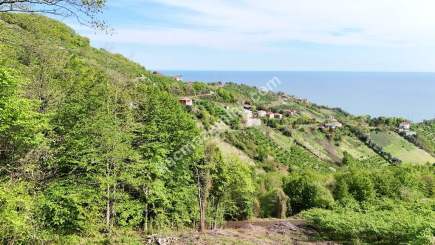 Trabzon Akçaabat Darıcada Satılık Arazi 10