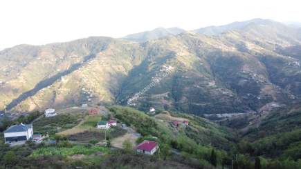 Trabzon Akçaabat Fıstıklı'da Satılık Arazi​ 12