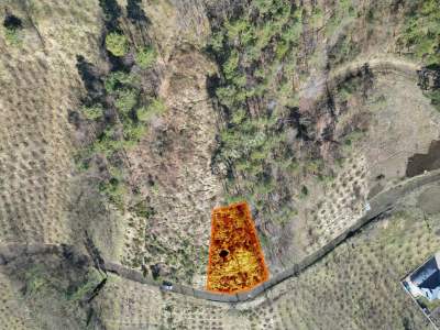 Trabzon Akçaabat Fıstıklıda Satılık Arazi 14