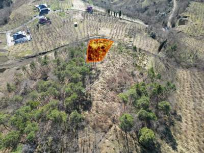 Trabzon Akçaabat Fıstıklıda Satılık Arazi 2