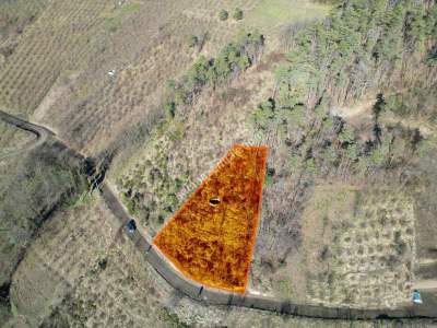 Trabzon Akçaabat Fıstıklıda Satılık Arazi 3