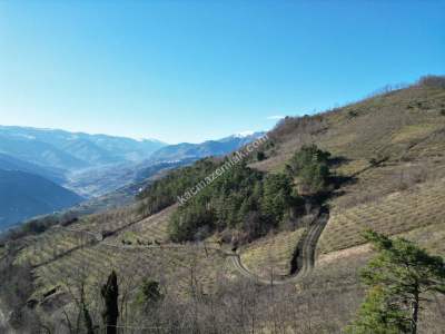 Trabzon Akçaabat Fıstıklıda Satılık Arazi 9