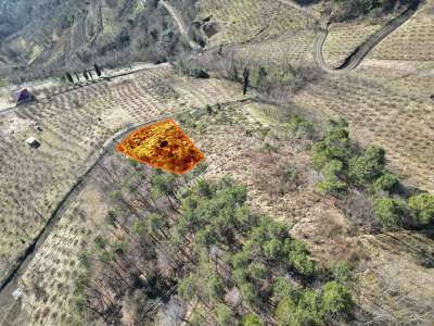 Trabzon Akçaabat Fıstıklıda Satılık Arazi 5