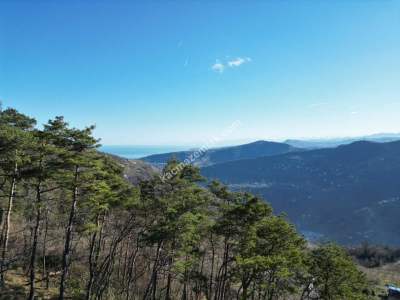 Trabzon Akçaabat Fıstıklıda Satılık Arazi 12
