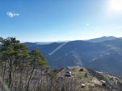 Trabzon Akçaabat Fıstıklıda Satılık Arazi 11