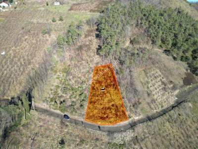 Trabzon Akçaabat Fıstıklıda Satılık Arazi 1