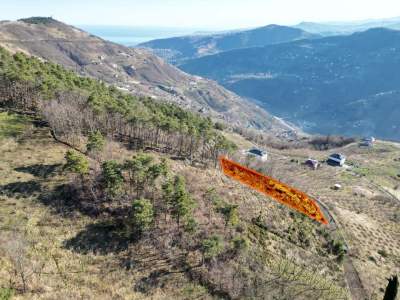 Trabzon Akçaabat Fıstıklıda Satılık Arazi 6