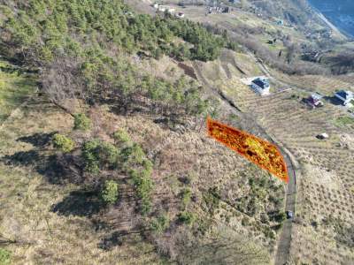 Trabzon Akçaabat Fıstıklıda Satılık Arazi 8