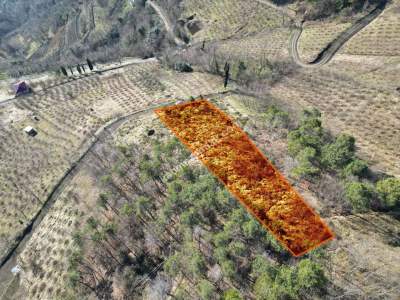 Trabzon Akçaabat Fıstıklıda Satılık Arazi 8