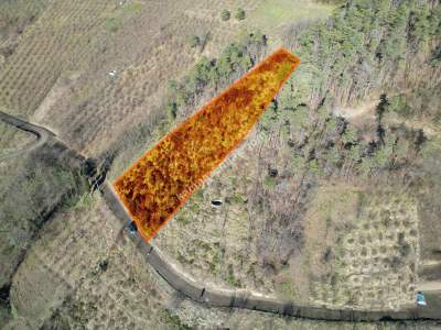 Trabzon Akçaabat Fıstıklıda Satılık Arazi 10