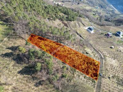 Trabzon Akçaabat Fıstıklıda Satılık Arazi 4