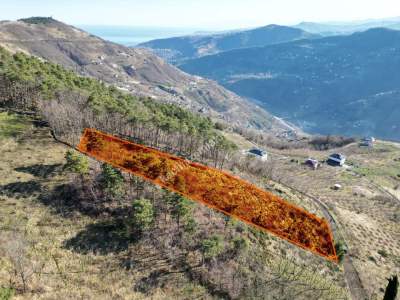 Trabzon Akçaabat Fıstıklıda Satılık Arazi 9