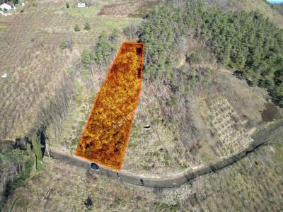 Trabzon Akçaabat Fıstıklıda Satılık Arazi