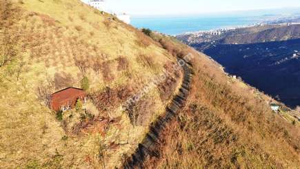 Trabzon Akçaabat Kaleönü Mahallesinde Satılık Arazi 8
