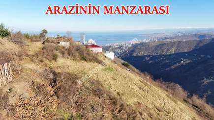 Trabzon Akçaabat Kaleönü Mahallesinde Satılık Arazi 3