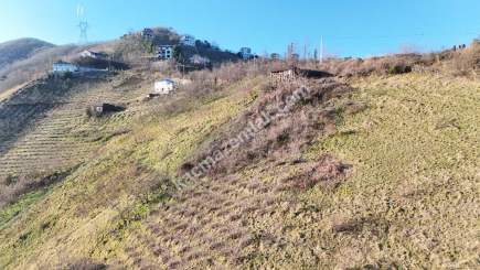 Trabzon Akçaabat Kaleönü Mahallesinde Satılık Arazi 8