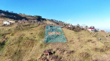 Trabzon Akçaabat Kaleönü Mahallesinde Satılık Arazi 1