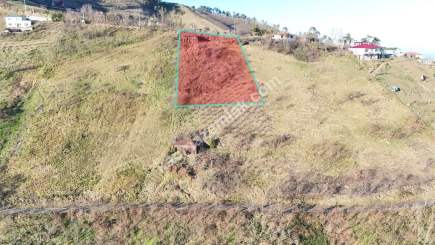 Trabzon Akçaabat Kaleönü Mahallesinde Satılık Arazi 2