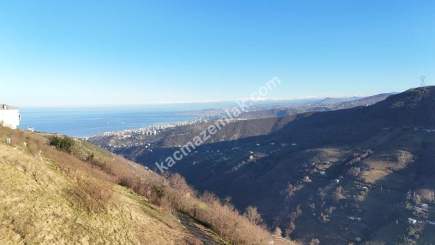 Akçaabat Kaleönü Mahallesinde Satılık 1905 M2 Arazi 9