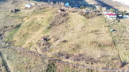 Akçaabat Kaleönü Mahallesinde Satılık 1905 M2 Arazi 5