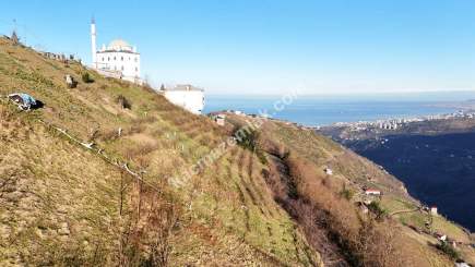 Akçaabat Kaleönü Mahallesinde Satılık 1905 M2 Arazi 6