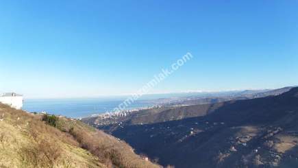 Akçaabat Kaleönü Mahallesinde Satılık 1905 M2 Arazi 4