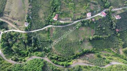 Trabzon Akçaabat Kavaklı'da Satılık Arazi 9