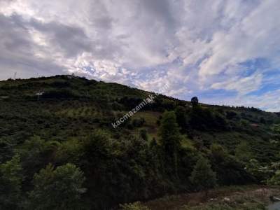 Trabzon Akçaabat Kavaklı'da Satılık Arazi 12
